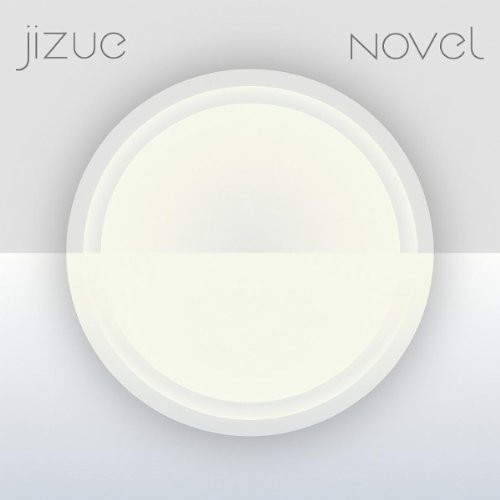 novel封面