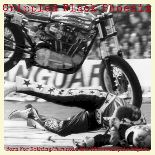 Born for Nothing / Paranoid Arm of Narcoleptic Empire, Live in Switzerland 2009AD封面