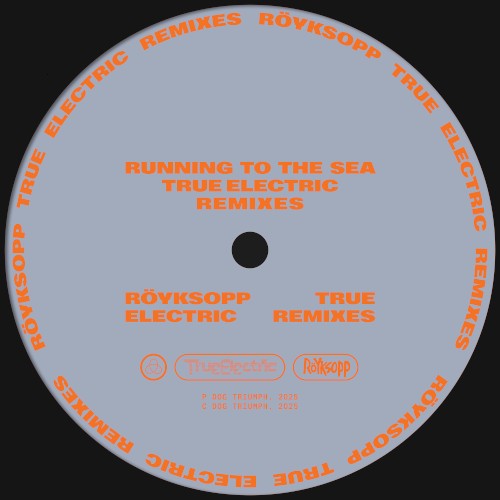 Running to the Sea (True Electric) Remixes封面