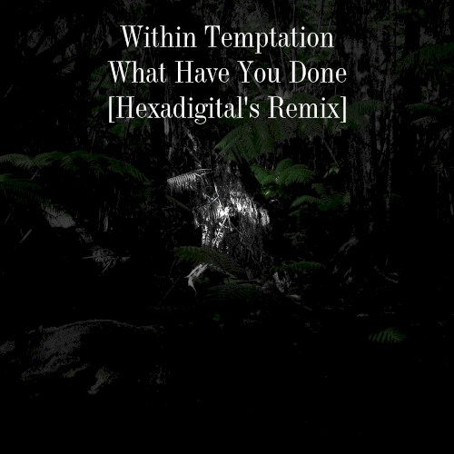 What Have You Done [Hexadigital's Remix]封面