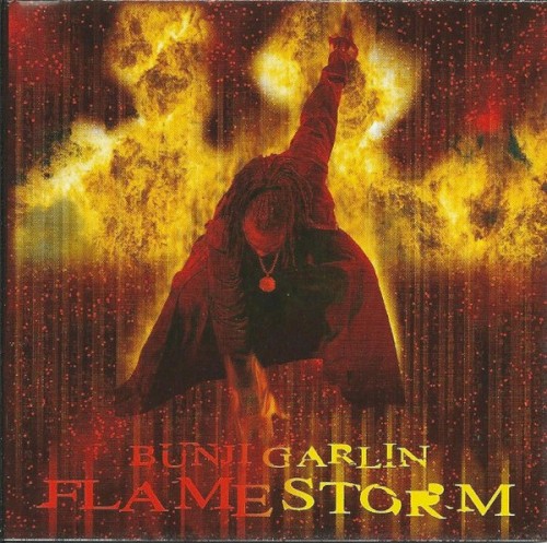 Flame Storm封面