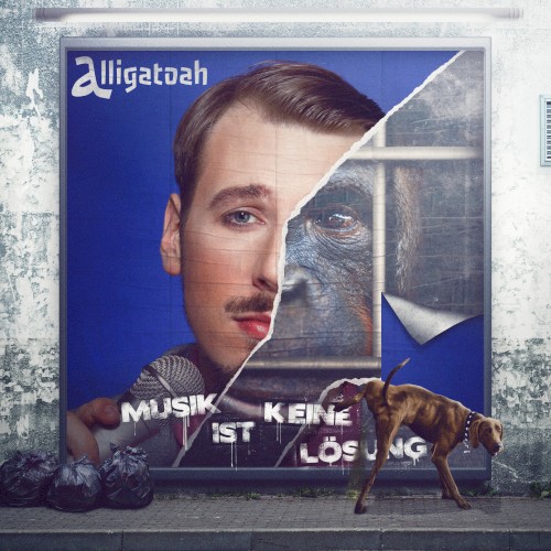 Musik ist keine Lösung封面
