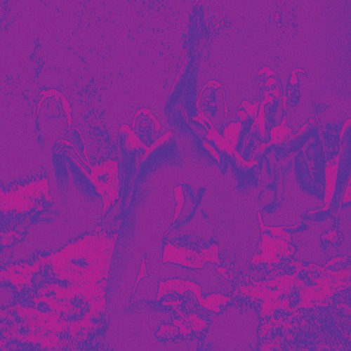 Acid Guru Pond封面