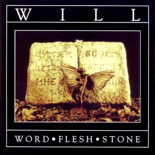 Word Flesh Stone封面