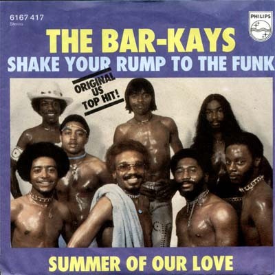 Shake Your Rump to the Funk封面