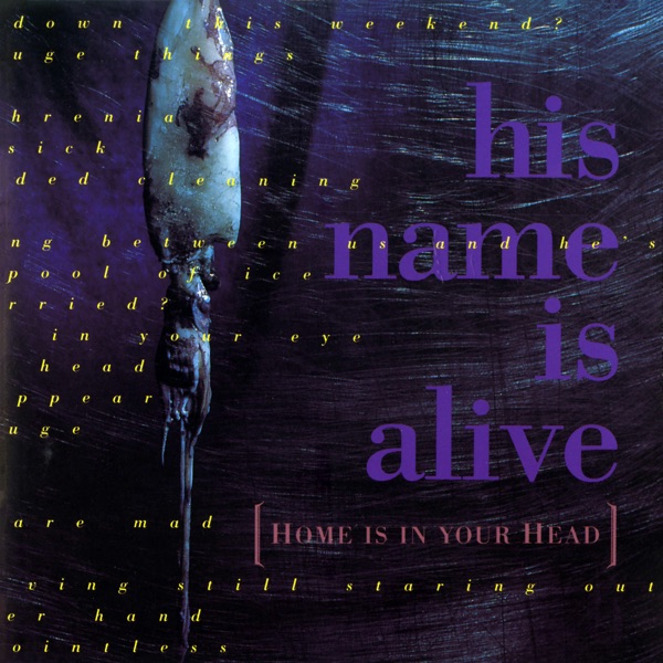Home Is in Your Head封面
