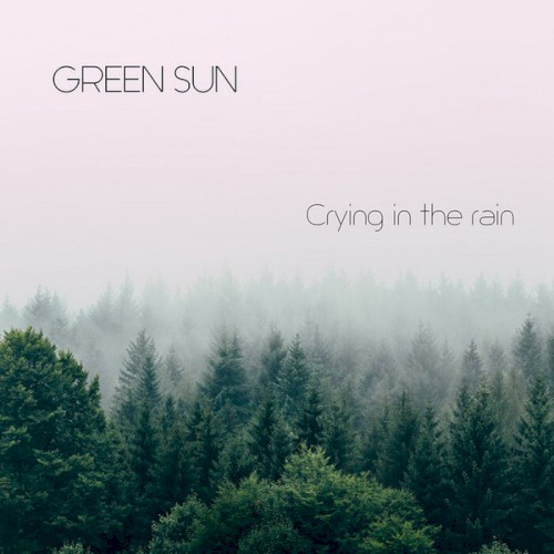 Crying In The Rain封面