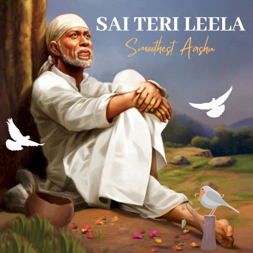 Sai Teri Leela封面