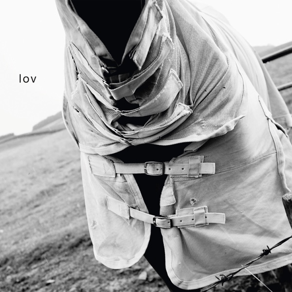 Lov封面