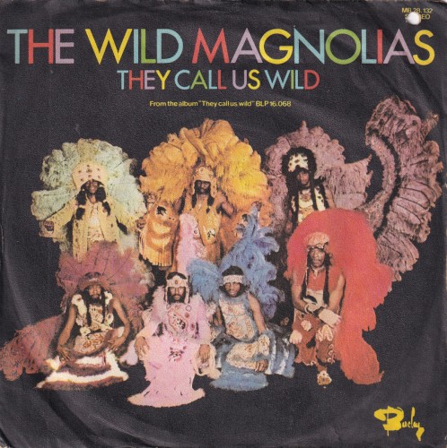 They Call Us Wild封面