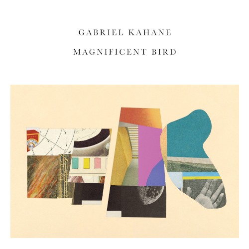 Magnificent Bird封面