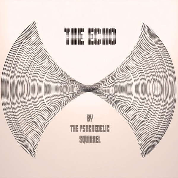 The Echo封面