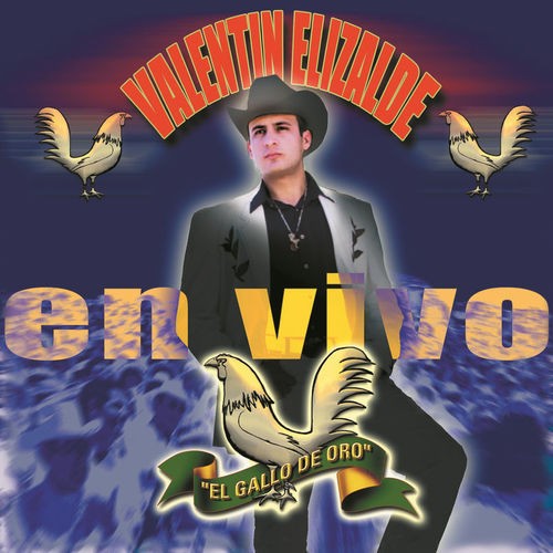 Valentín Elizalde en vivo封面