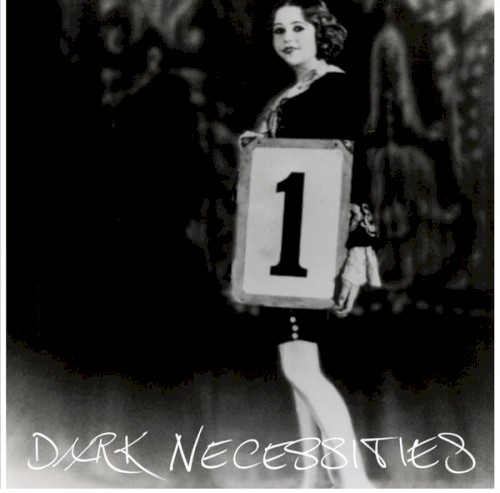Dark Necessities封面
