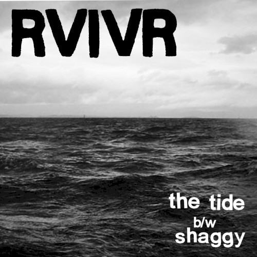 The Tide b/w Shaggy封面