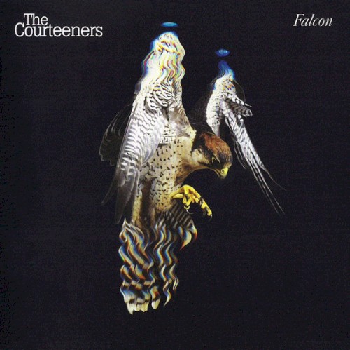 Falcon封面
