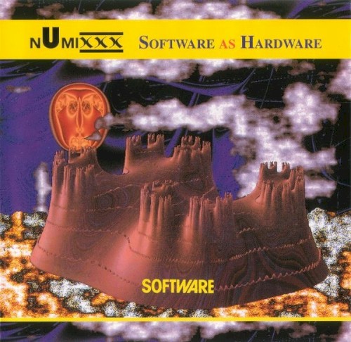 Software as Hardware封面