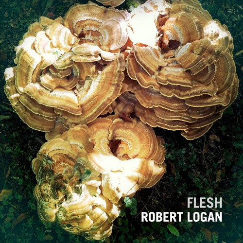 Flesh封面