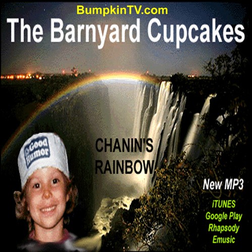 Chanin’s Rainbow封面
