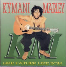 Like Father Like Son封面