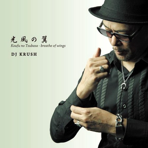光風の翼 - Koufu No Tsubasa - Breathe Of Wings封面