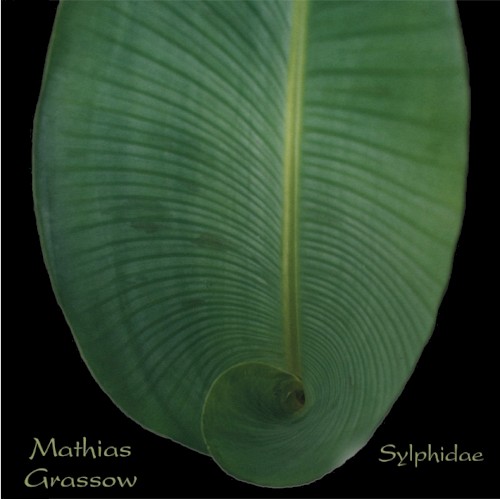 Sylphidae封面