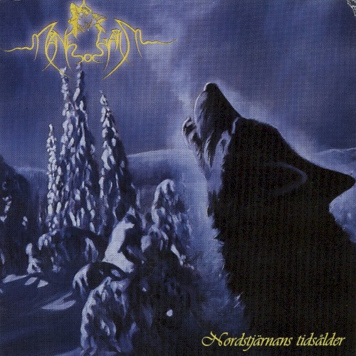 Nordstjärnans tidsålder封面