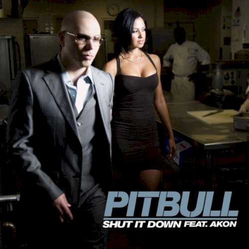 Shut It Down封面