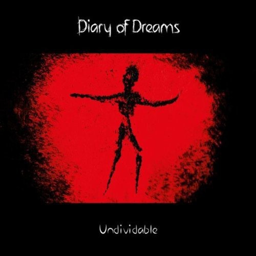 Undividable (Magnetized mix)封面