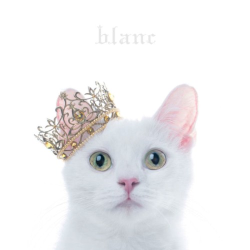 BEST SELECTION “blanc”封面