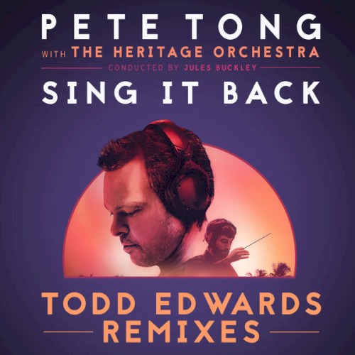 Sing It Back (Todd Edwards remixes)封面