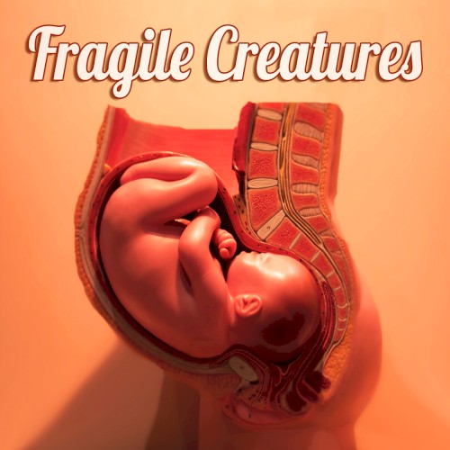 Fragile Creatures EP封面