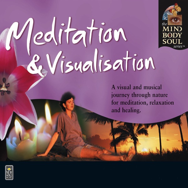 Meditation & Visualisation封面
