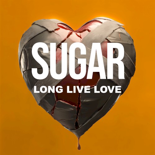 Long Live Love封面