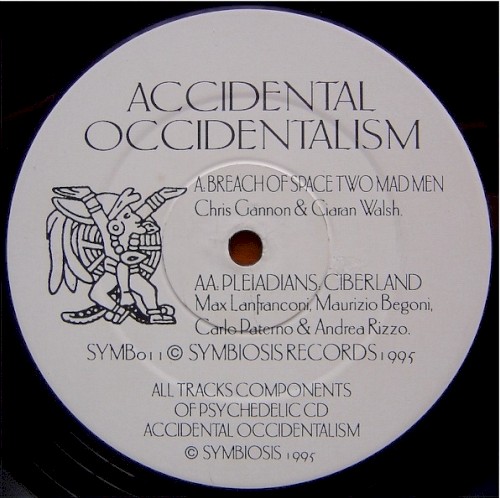 Accidental Occidentalism封面