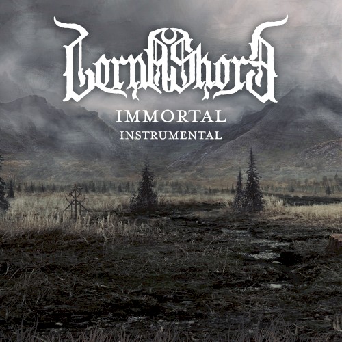 Immortal (instrumental)封面