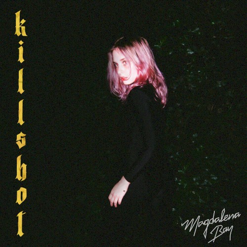 Killshot封面