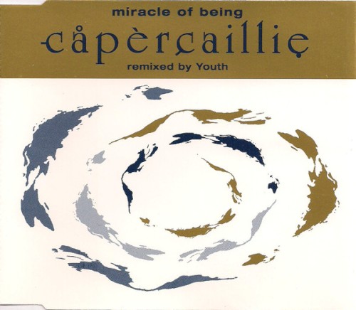Miracle of Being封面