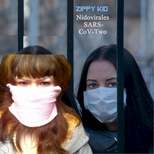 Nidovirales SARS‐CoV‐Two封面