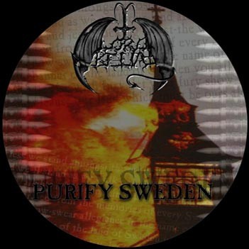 Purify Sweden封面