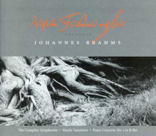 Wilhelm Furtwängler Conducts Johannes Brahms封面