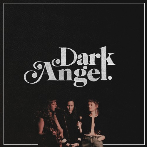 Dark Angel封面