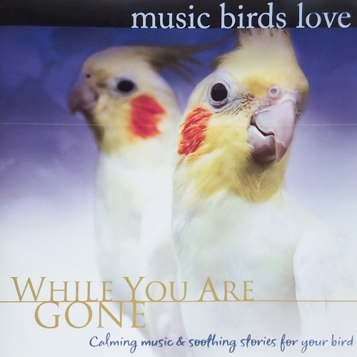 While You Were Gone - Music Birds Love封面
