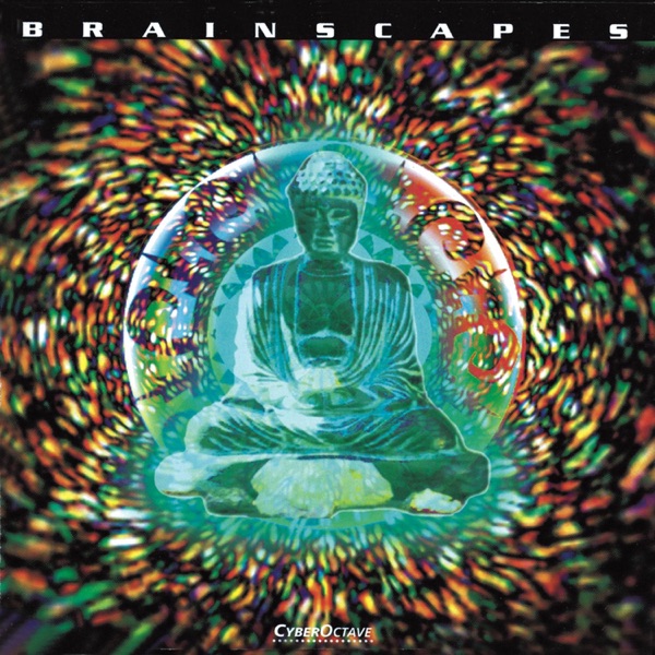 Brainscapes封面
