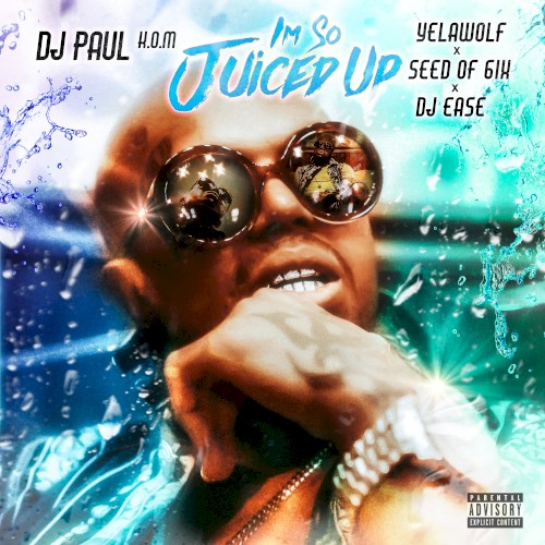 I'm So Juiced Up封面