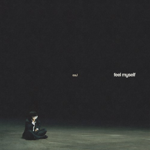 feel myself封面