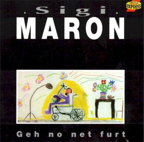 Geh no net furt封面