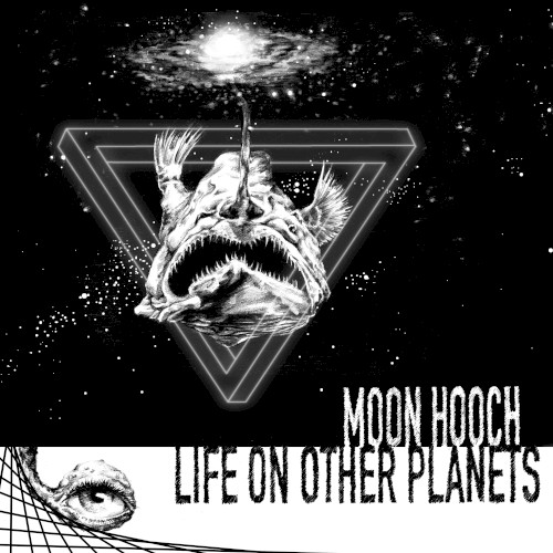 Life on Other Planets封面