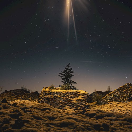 The Second Coming Was a Moonrise封面