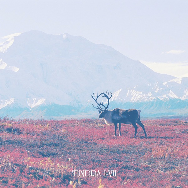 Tundra I-VII封面